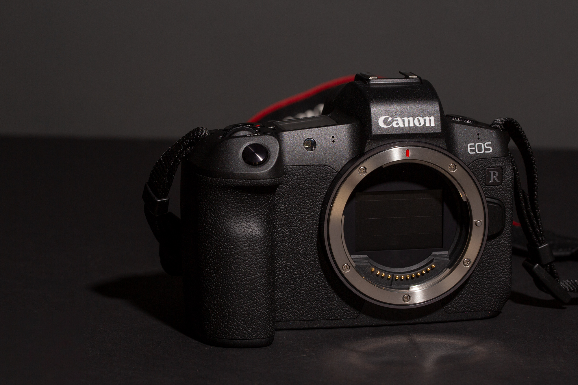 Canon EOS R  Camera Review 