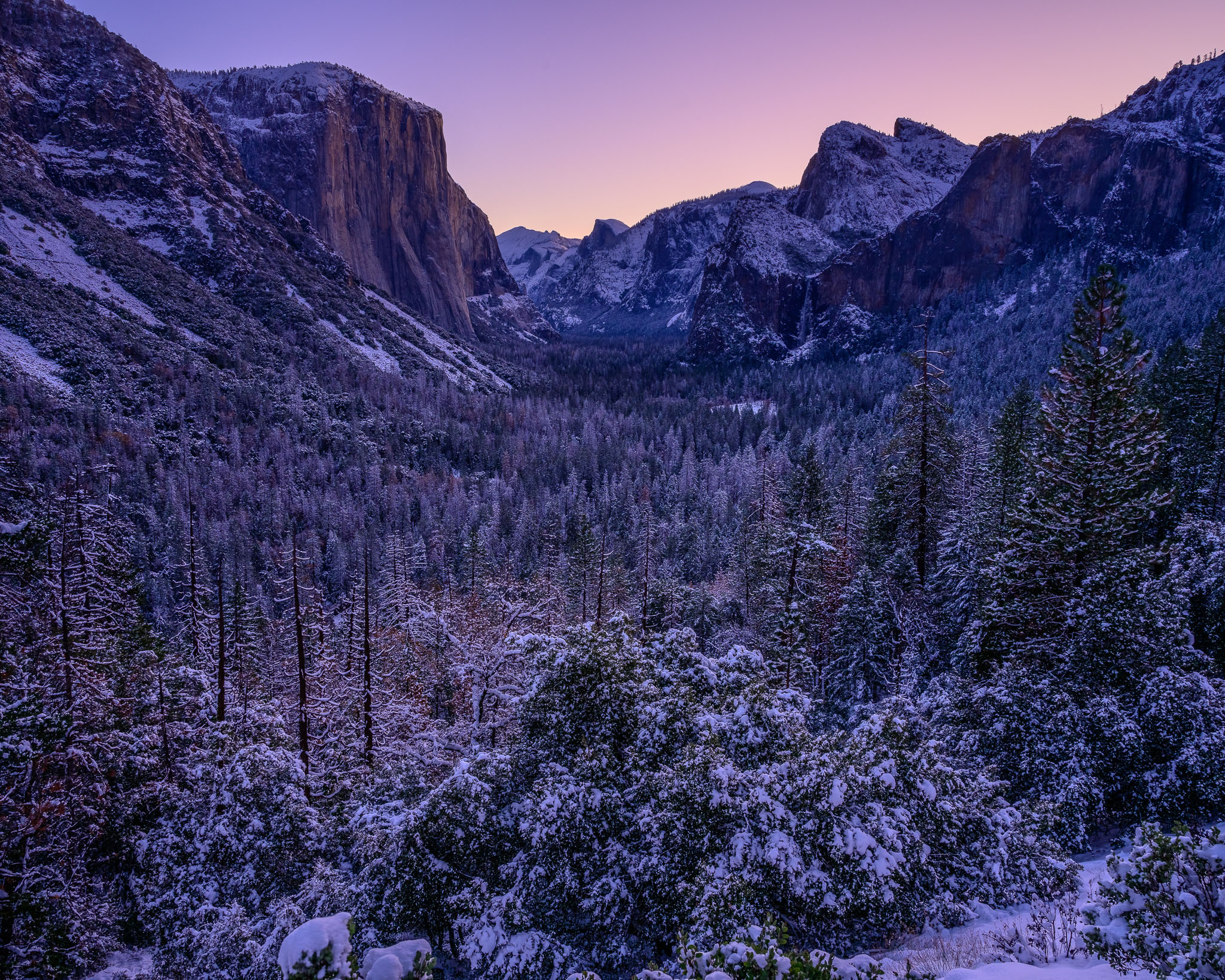 Sony Alpha 7 ii Camera Review ~ Tested At Yosemite National Park