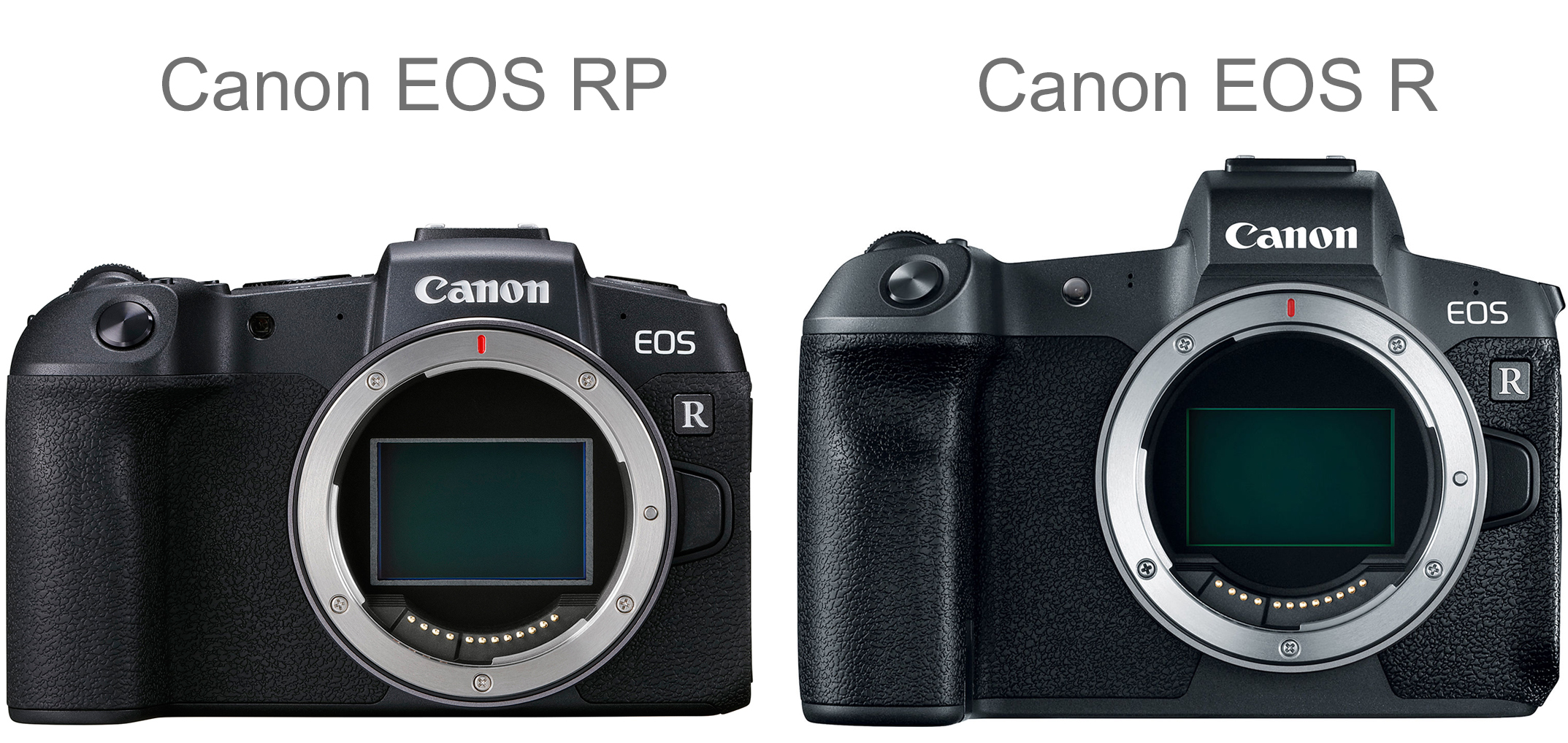 Canon EOS RP + Sigma 35mm F1.4 DG HSM Art + Canon EF EOS R
